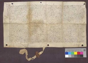 Instrument des Gerichts zu Wittlingen über Güter und Zinse zu Schallbach, die Bastian Fryburger, Vogt zu Wittlingen, zu Lehen trägt von Heine Albrecht von Schallbach.