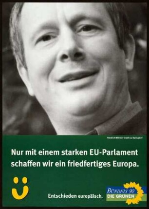 Bündnis 90/Die Grünen, Europawahl 1999