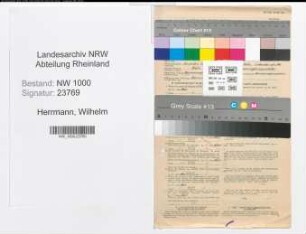 Entnazifizierung Wilhelm Herrmann, geb. 20.08.1905 (Verm.Inspektor)