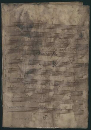 Symphonies - Mus.3411-N-4 : C, KreD 117, GraDi C6