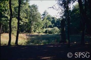 Potsdam, Park Sacrow, Senke bei der Thusnelda-Statue vor den Auskofferungsarbeiten.
