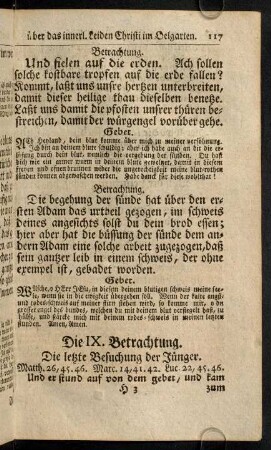 117-130, Die IX. Betrachtung.