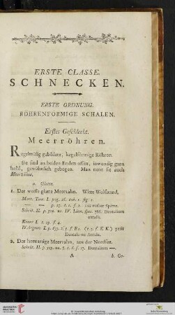 Erste Classe: Schnecken