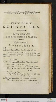Erste Classe: Schnecken
