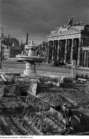 Berlin. Gemüsebeete an der zerstörten südlichen Springbrunnenanlage am Hindenburgplatz (mit unterirdischem Zugang)