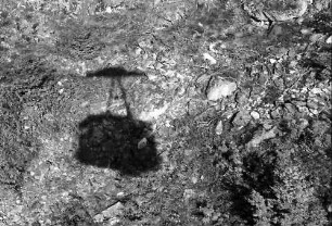 Schauinslandbahn: Schatten der Kabine auf Felsen
