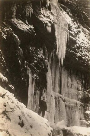 Elbsandsteingebirge. Weberschlüchte. An drei Schichten austretendes Sickerwasser führte zur Bildung von langen Eiszapfen
