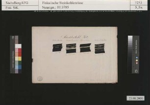 Bockwa, Cainsdorf und Schedewitz, Profile des Schichtenkohlenflözes