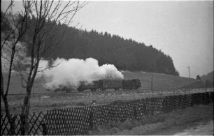 Trochtelfingen, Lok 141 an der Karstquelle der Seckach vorbeifahrend