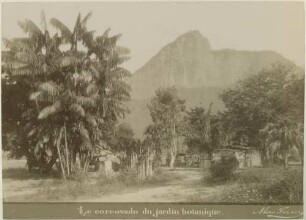 "Le corcovado du jardin botanique."