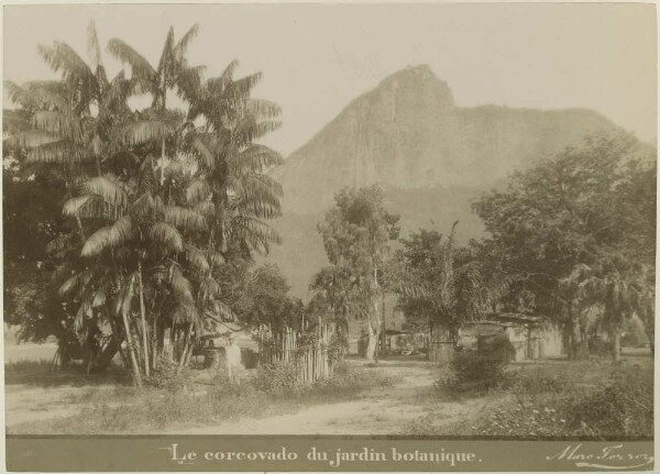 "Le corcovado du jardin botanique."