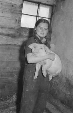 Reportage vom Volksgut Struppen : Mädchen mit einem Schwein