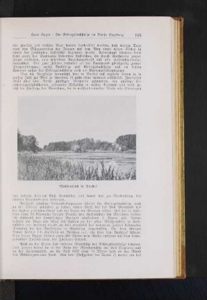 Mühlenteich in Borstel