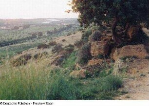 Landschaft bei Agrigent