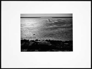 Foto, Schlüttsiel (Krs. Nordfriesland)