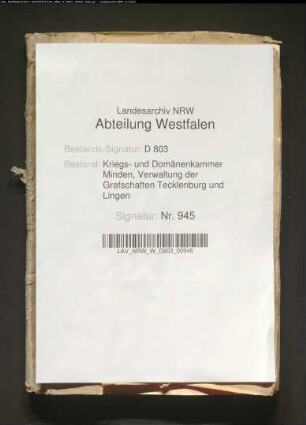 Register von ungewissen Gefällen bei den Domänen der Obergrafschaft Lingen pro 1795-1796