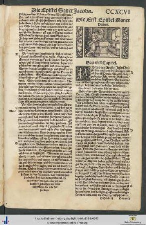 Die Episteln Sanct Petters