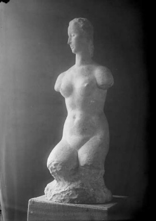 Kleiner weiblicher Torso