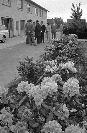 Friedhofsgärtnerei bei Knielingen.