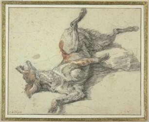 Verwundeter Hund