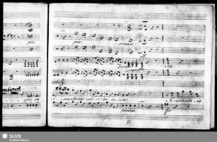 [Cavatina:] Si contenta sarai si mora