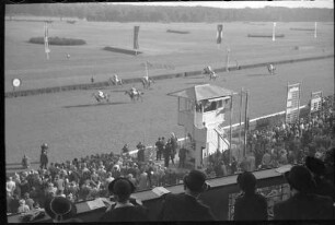 Hoppegarten: Pferde im Galopp