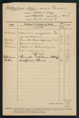 Belegungen Zwischensemester 1919