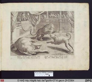 Alexander der Große beobachtet einen Kampf zwischen einem Elefanten, einem Löwen und einem Hund