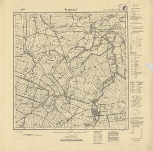 1780 (alte Nr.: 465) Tiegenhof, Meßtischblatt (4 cm - Karte)
