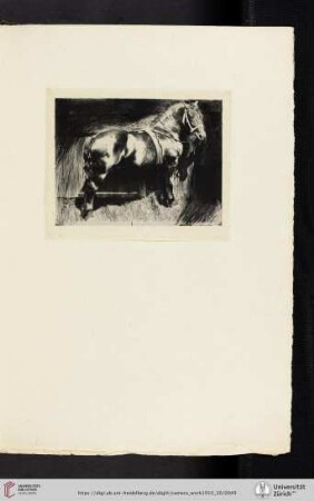 [Frank Eugene, VIII. Horse, photogravure from the original negative]