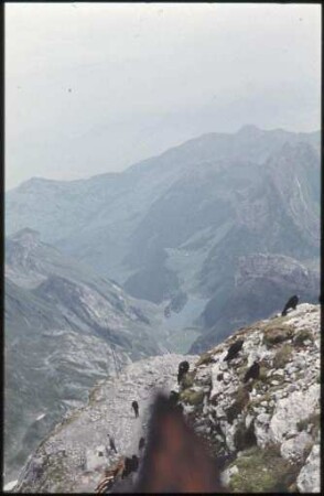 Säntis und Seealpsee