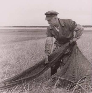 Fischer beim Netze teeren, um 1960