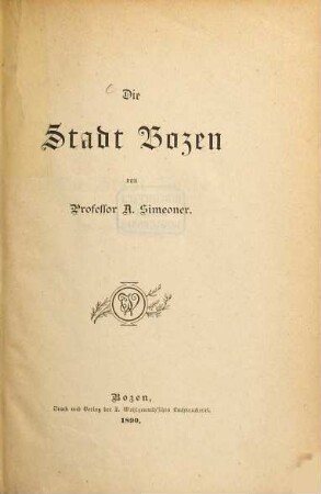 Die Stadt Bozen