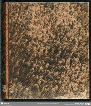 Sammlung alchemistischer und medizinischer Rezepte - Mscr.Dresd.N.74.a