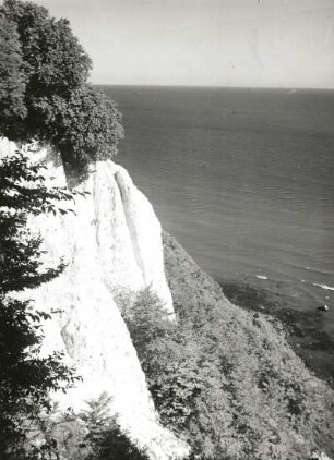 Jasmund. Ostseeküste, Stubbenkammer. Kreidekliff beim Königsstuhl. Blick vom Hochufer nach Nordwesten