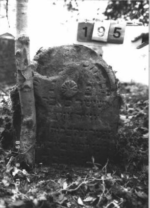 Grabstein 195 (Index: 99800030) Material: Sandstein Zustand: stark verwittert u. angeschlagen, weitgehender Textverlust Maße HxBxT: 75x57x8 cm Beschreibung: Stele, eingezogener Rundbogenabschluß Symbolik: Rosette: Grabstein 195