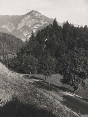 Deutschland. Oberbayern. Deutsche Alpenstraße. Hier die Straßenführung bei Unterjettenberg. Im Bildhintergrund ist die Reiteralpe, auch Reiter-Alm, zu sehen.