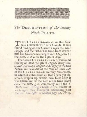 The Description of the Seventy Ninth Plate