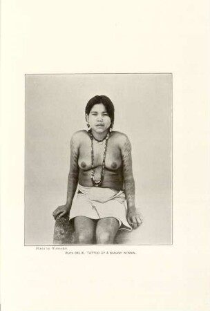 Plate CXLIX. Tattoo of a Banawi woman