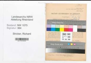 Entnazifizierung Richard Stricker , geb. 06.02.1891 (Amtsgerichtsrat)