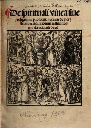 De spirituali vinea sive religionis profectu