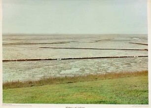 Watten und Halligen