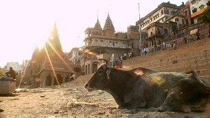Fascinating India 3D