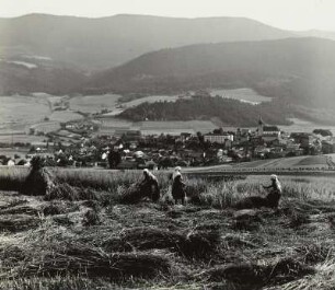 Lam (Bayern), Frauen bei Roggenernte
