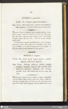 Modiola elegans. Tab. IX. - Left hand upper figure, middle figure, and lower figures