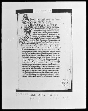 Gregorius Magnus, Moralia in Job, Pars 5, Liber 23-27 — Initiale P (refationem), ein Teil des Buchstaben in Form eines Drachen, Folio 1recto