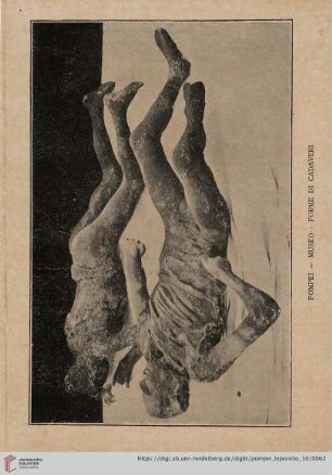 Pompei - Museo - Forme di Cadaveri