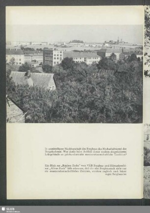 In unmittelbarer Nähe des Bergbaus