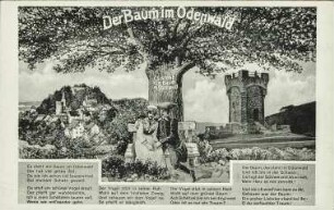 Der Baum im Odenwald