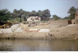 Ägypten: Am Nilufer